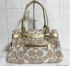 no36876 -G ほぼ美品 コーチ 13290 シグネチャー トート バッグ