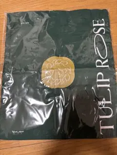 Item thumbnail for item 446c2ff0-1293-4c9a-ba15-12cb0a0cbb22