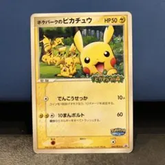 ポケパークのピカチュウ PROMO PCG-Pプロモカード 043/PCG-P - メルカリ