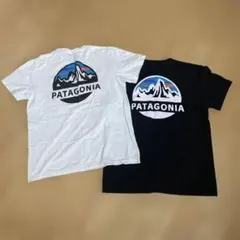 PATAGONIA Tシャツ 中古2枚セット　スリムフィット M ロゴtシャツ