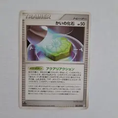 かいの化石 ◆ Pt4 アルセウス光臨 081/090のサムネイル