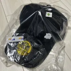 ぽこあポケモン キャップ　特典