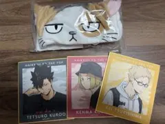 ハイキュー ミニ色紙 4枚 東武動物公園 黒尾鉄朗 孤爪研磨 月島蛍 ヘアバンド