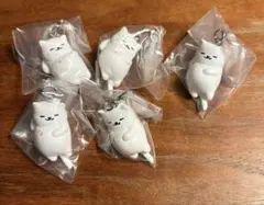 ねこあつめ2 めじるしアクセサリー