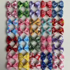 Item thumbnail for item f68a15d8-3296-49e5-bafb-16e98a68f62e