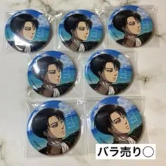 進撃の巨人　リヴァイ カラオケの鉄人　桜木町　カラ鉄　まとめ売り　兵団服　海