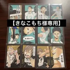 【きなこもち様専用】 ハイキューボドゲ