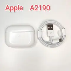 5、充電ケース AirPods Pro1 第1世代 A2190