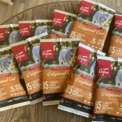 キャットフード サンプル