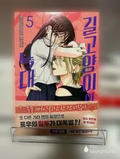 野良猫と狼 韓国版 5巻