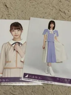乃木坂46 阪口珠美 生写真セット