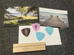 ヨルシカ ライブ 特典 ピック 5点 まとめ売り - メルカリ