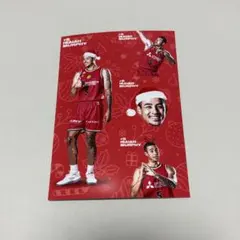 名古屋ダイヤモンドドルフィンズ ランダムブロマイド