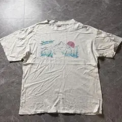 90s ONEITA オニータ Tシャツ USA製 シングルステッチ T3