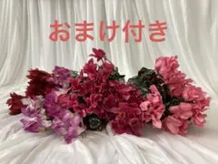 Item thumbnail for item 60ad0f45-709d-403e-bd77-b662359f4672