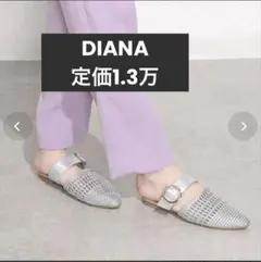 定価1.3万DIANA ダイアナ　メッシュミュールサンダル　23.5㎝のサムネイル