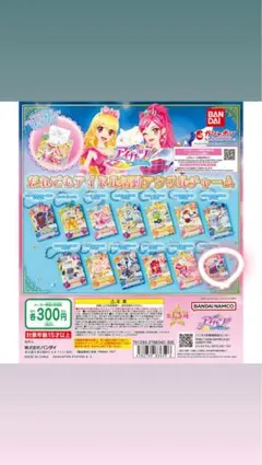 アイカツ！アクリルキーホルダー 全15種 だれでもアイドル活動アクリルチャーム