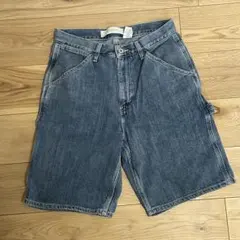 GAP CARPENTER ギャップ ペインター　ショーツ