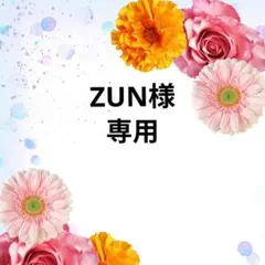 ⚜ZUN⚜様 リクエスト 7点 まとめ商品