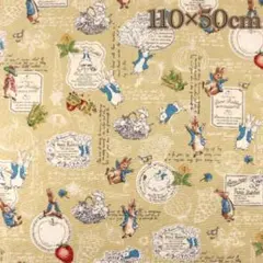 Item thumbnail for item 4b66d6bc-c1f4-4649-bf1a-015b24e85b2e