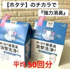 洗技 洗濯用消臭剤 衣類のニオイ除去剤 部屋干し 生乾き臭 雑菌臭 除菌・抗菌
