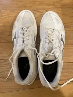 朔山さま専用Mizuno Cyclone Speed 3 バレーボール　27.0