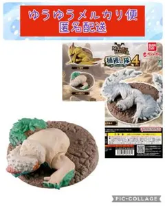 【新品】モンスターハンター 捕獲し隊4 ガチャ チャタカブラ