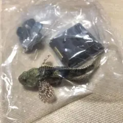 ネイチャーテクニカラー　日本の清流　カジカ　魚　フィギュア　増補特装版