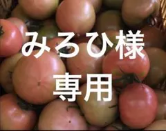 みろひ様　専用