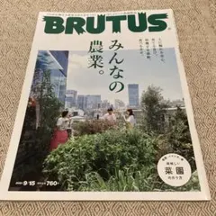 Item thumbnail for item 684f844b-3f8b-4579-a4ca-2385cb13cdb8