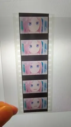 五等分の花嫁 映画特典 生コマ フィルム 幼少期