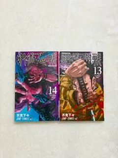 呪術廻戦 13巻・14巻 ＊バラ購入可能です！