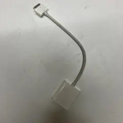 初代iPad用VGA変換アダプタ