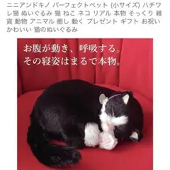 ニニアンドキノ パーフェクトペット コリー 小型犬 リアル 動物 - メルカリ