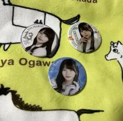 2026年最新】岡本姫奈缶バッジの人気アイテム - メルカリ