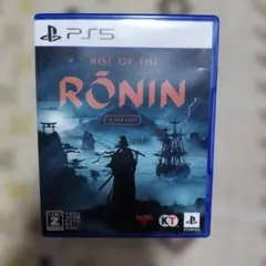 PS5 Rise of the Ronin Z version