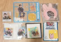 straykids スキズ チャンビン TOYWORLDセット
