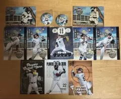 千葉ロッテマリーンズ ナツマツリ カード・缶バッジセット