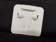 新品未使用 アップル純正 iPhone イヤホン ライトニング 有線