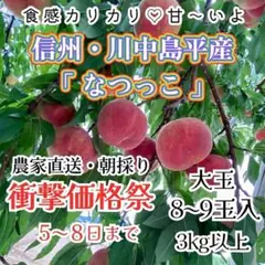 【衝撃価格祭】美品ご家庭用・信州産 桃 なつっこ3kg(大玉8〜9玉)硬い桃のサムネイル