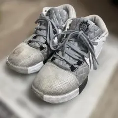 농구 신발 27cm Nike LeBron