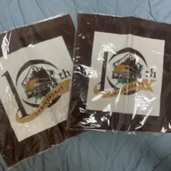 甲子園歴史館 10周年記念 ミニタオル 2枚セット