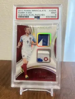 Item thumbnail for item f8bf905e-63e1-4aac-accf-89bd770fe911