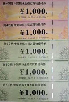 優待券5000円分(ビックカメラ2000円、コジマ3000円)