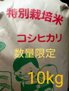 令和7年産新米＊農家力作⭐︎新潟とちおのコシヒカリ玄米10kgぴかぴか特別栽培米 令和7年産新米＊農家力作⭐︎新潟とちおのコシヒカリ玄米10kgぴかぴか