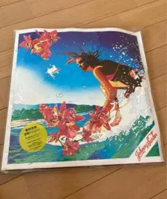 2025年最新】波乗りジョニー レコードの人気アイテム - メルカリ