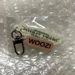 SEVENTEEN RIGHT HERE カプセルトイ ウジ WOOZI