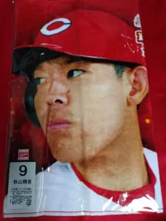 Item thumbnail for item 3efb5674-276b-448d-9d96-fdd5d57083f2