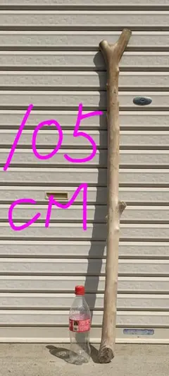 Item thumbnail for item 61510805-808e-4a31-8c97-4632efa515e3