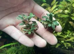 ジュン様 リクエスト 2点 まとめ商品